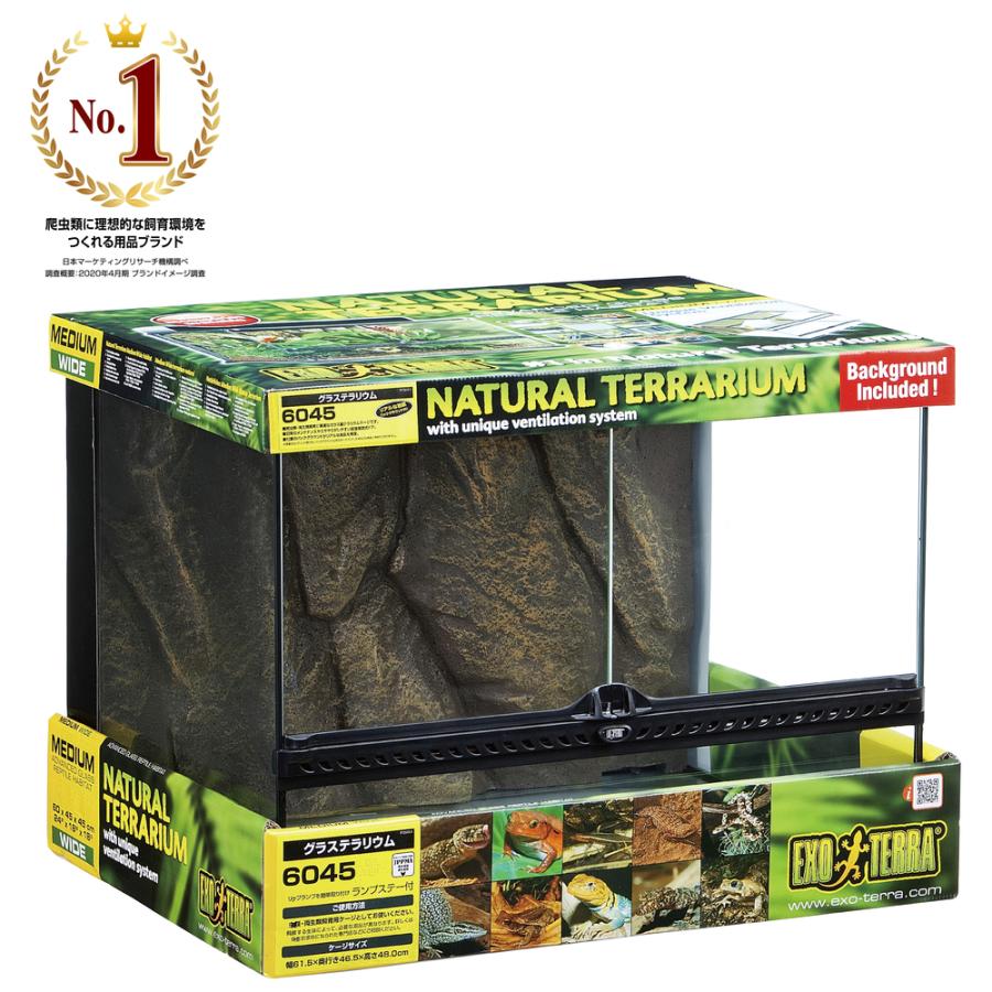 グラステラリウム 6045