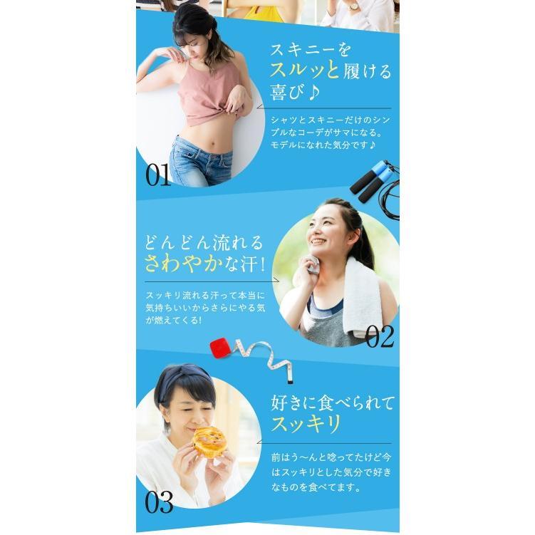 Dr.Surari ドクタースラリ サプリメント ダイエット サプリ 9g 300mg