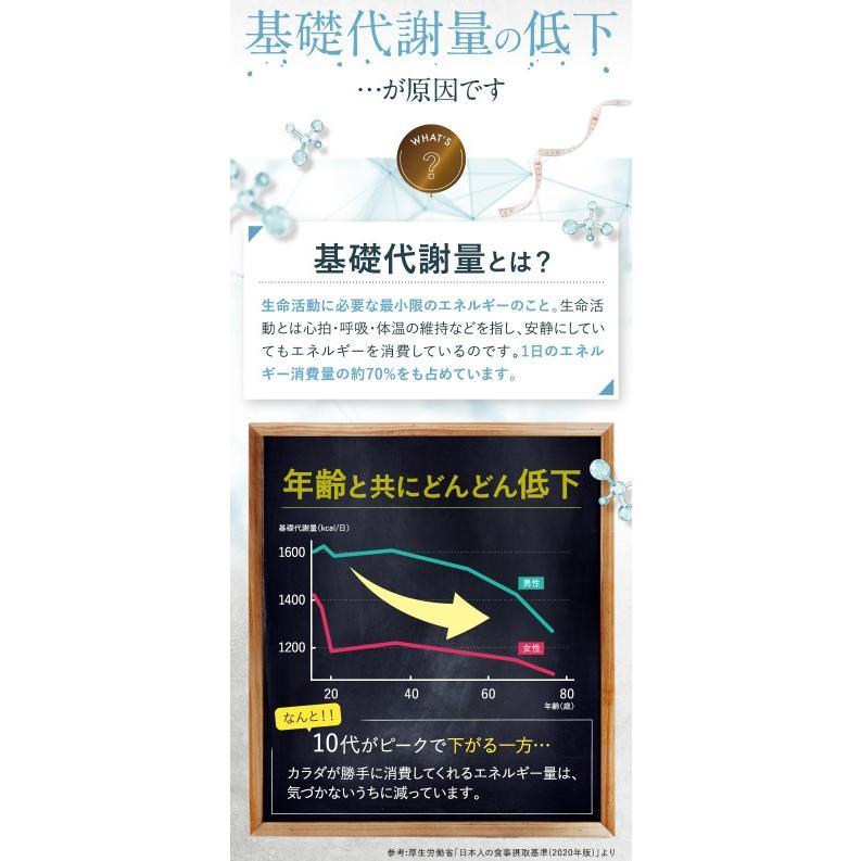 Dr.Surari ドクタースラリ サプリメント ダイエット サプリ 9g 300mg