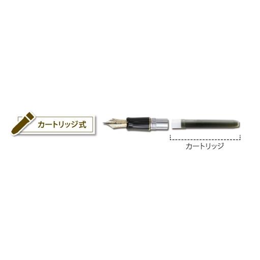 PILOT（パイロット） 高級筆記具 万年筆 カートリッジインキ 5本入 IRF 