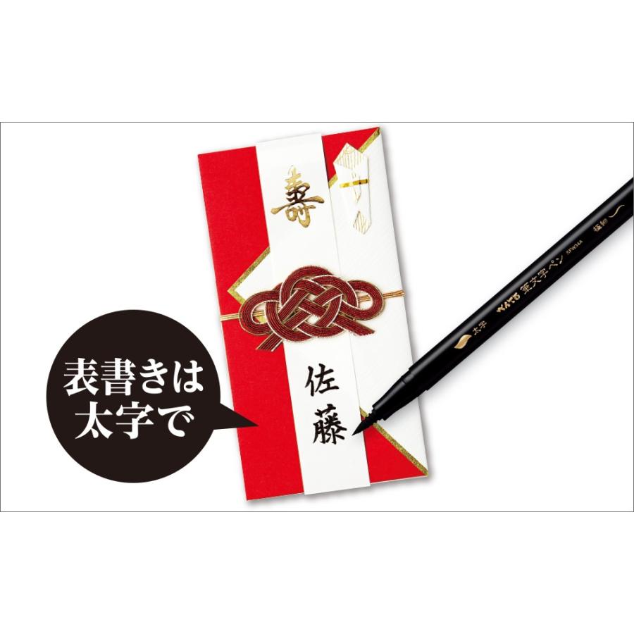 ぺんてる（Pentel） 筆ペン 筆文字ペン ツイン 太字＋極細 XSFW34A