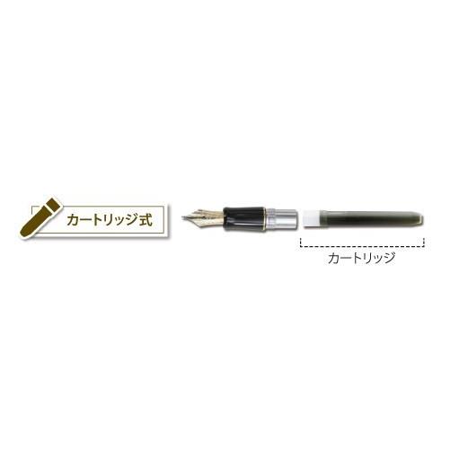 PILOT（パイロット） 高級筆記具 万年筆 カートリッジインキ 5本入 IRF