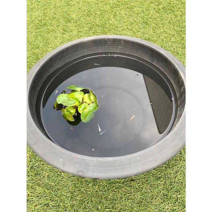 なお】催事 ディスプレイ そばこね鉢 赤黒 直径42cm 高さ10cm なお様