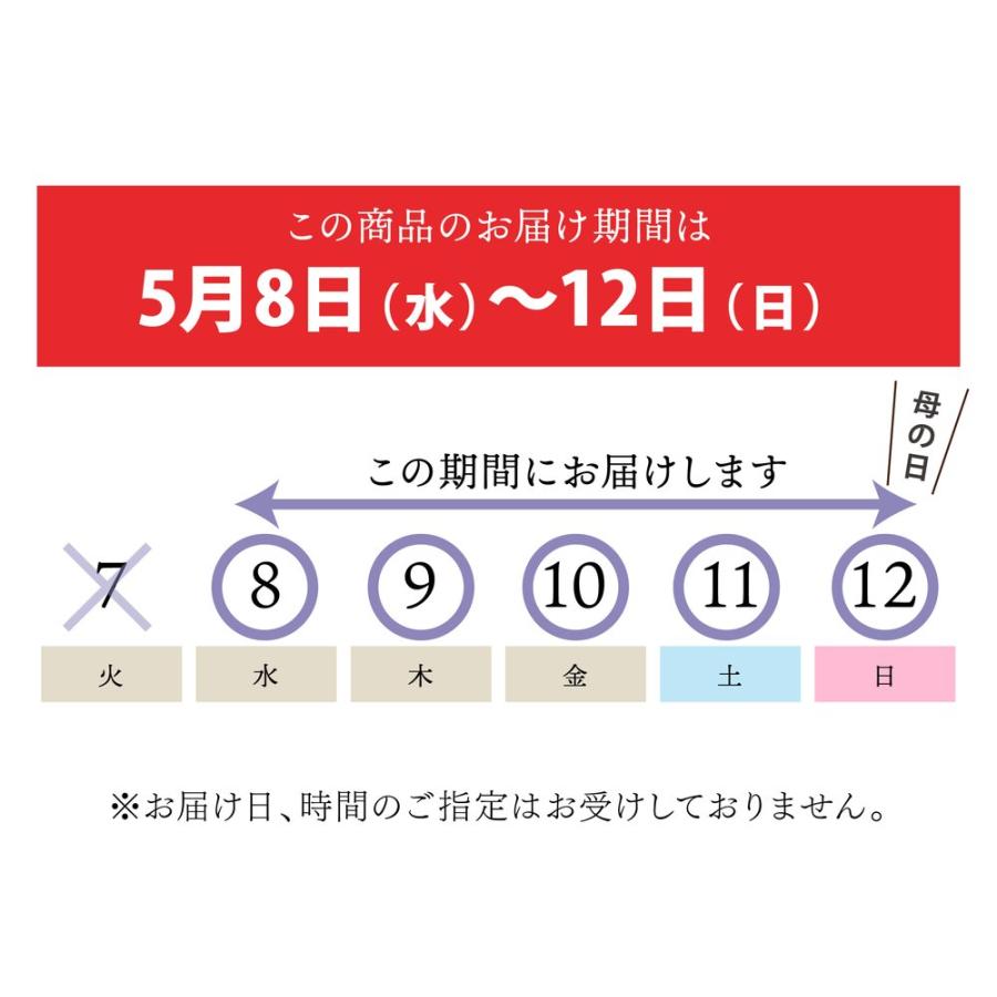 【お届け5/14〜18】母の日ギフト2024 カーネーション 赤 5号 ｜鉢花10-TU｜akatsukagarden｜06