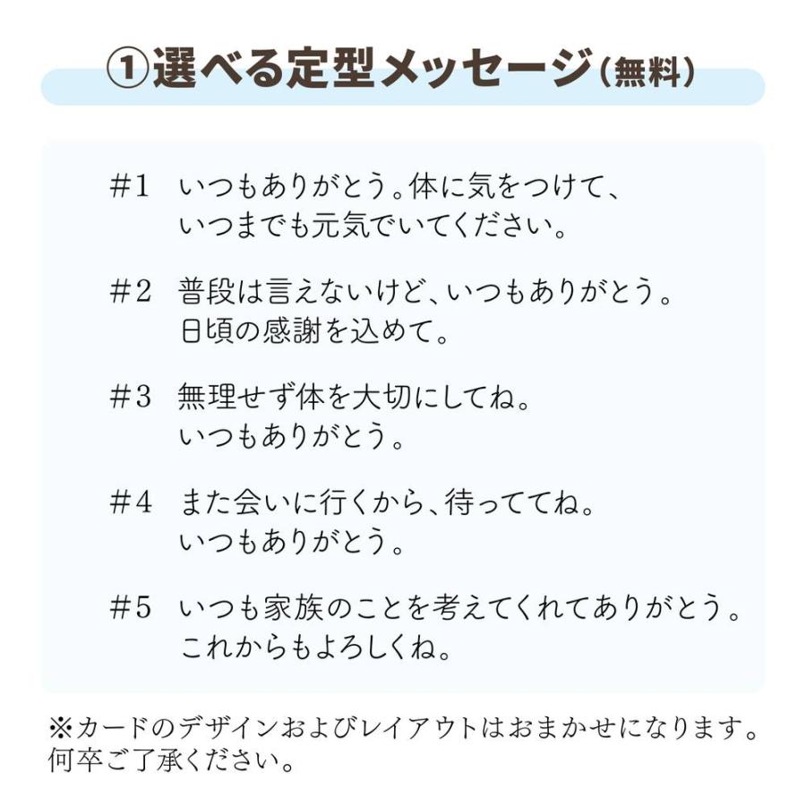 【お届け5/14〜18】母の日ギフト2024 カーネーション 赤 5号 ｜鉢花10-TU｜akatsukagarden｜08