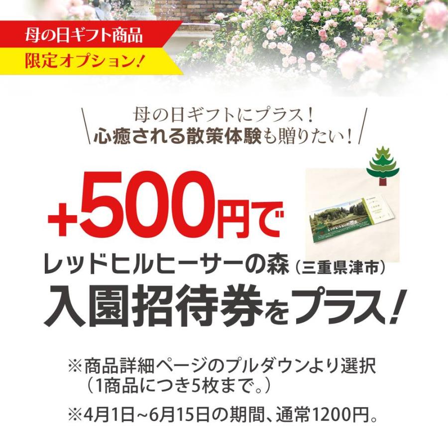 【お届け5/14〜18】母の日ギフト2024 アジサイ 月虹（ピンク） 5号 ｜鉢花10-TU｜akatsukagarden｜13