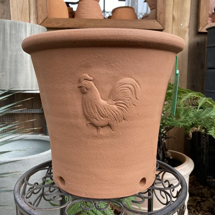 whichford ウィッチフォード 鉢 植木鉢 現状品 テラコッタ鉢 ウィッチフォード Whichford Cockerel Pot 793（代引き