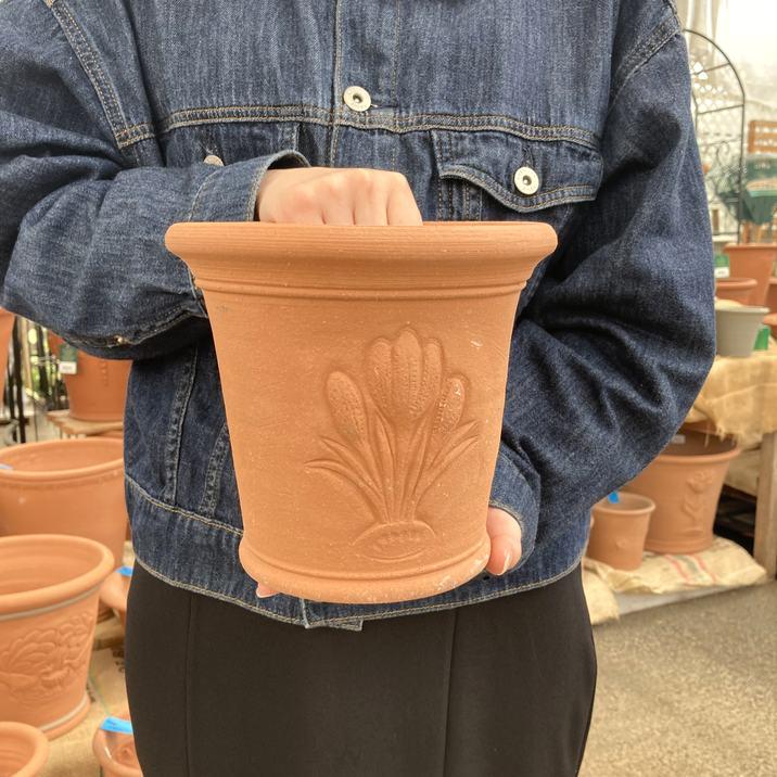 テラコッタ鉢 ウィッチフォード Crocus Pot 846（代引き不可）｜資材10