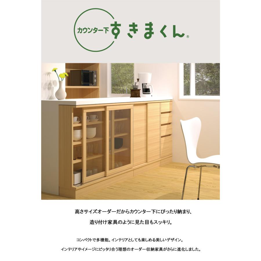 カウンター下収納 おしゃれ キッチン 収納 引き出し インコーナー 左開き用 隙間 すきま 収納 スライドレール 完成品 カウンター下収納庫 Sシリーズ Snl 赤やpaypayモール店 通販 Paypayモール