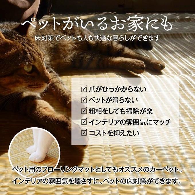 い草 調 ラグ 洗える PPカーペット 日本製 ペット 本間6畳 286×382cm 水洗い 犬 猫 アウトドア 上敷き い草調ラグ ポリプロピレン  農作業 屋外