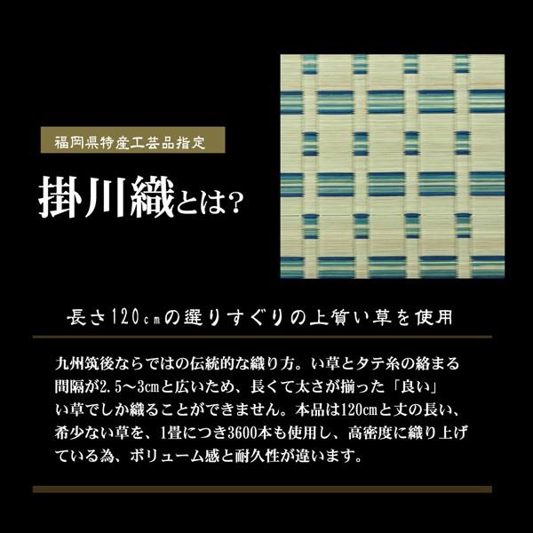 掛川織い草ラグ い草花ござカーペット 江戸間10畳 435 352cm 赤やpaypayモール店 通販 Paypayモール
