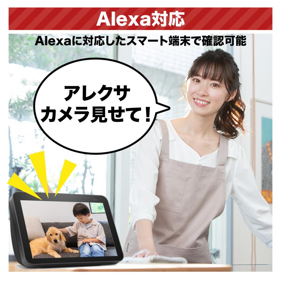 アキバガジェット 防犯カメラ ワイヤレス 500万画素 PTZ 自動追尾 2台