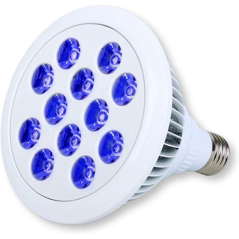 Lezalic LED 電球 スポットライト 24W（2W×12灯） 水槽 照明 E26 電気 サンゴ 熱帯魚 観賞魚 植物育成 (電球_ブ｜akd-shop｜04