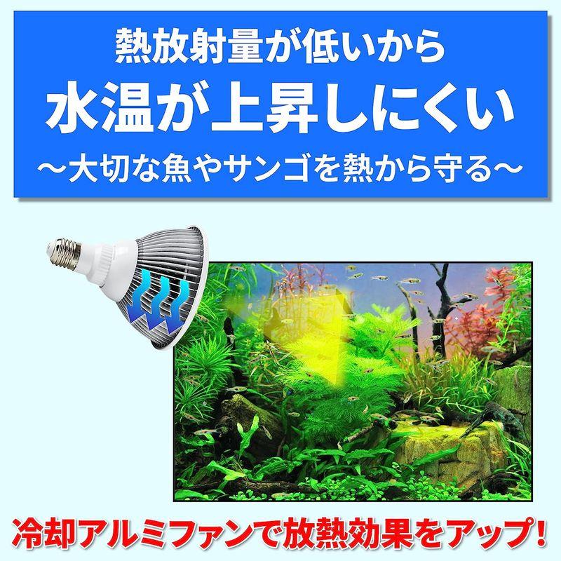 Lezalic LED 電球 スポットライト 24W（2W×12灯） 水槽 照明 E26 電気 サンゴ 熱帯魚 観賞魚 植物育成 (電球_ブ｜akd-shop｜05