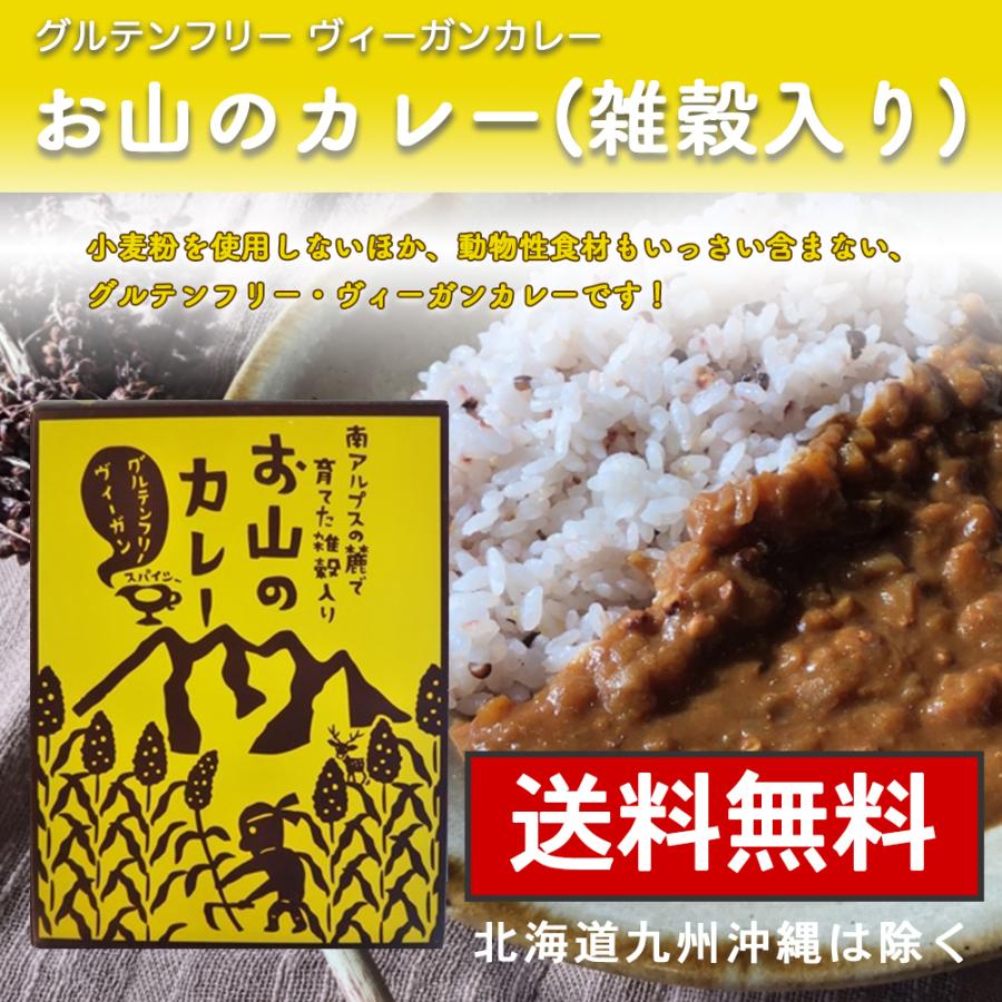ネコポス対応 グルテンフリーカレー お山のカレー 送料無料 パウチ 中辛 アレルギーフリー ヴィーガン 雑穀 Free Curry Akebonoヤフーショップ 通販 Yahoo ショッピング