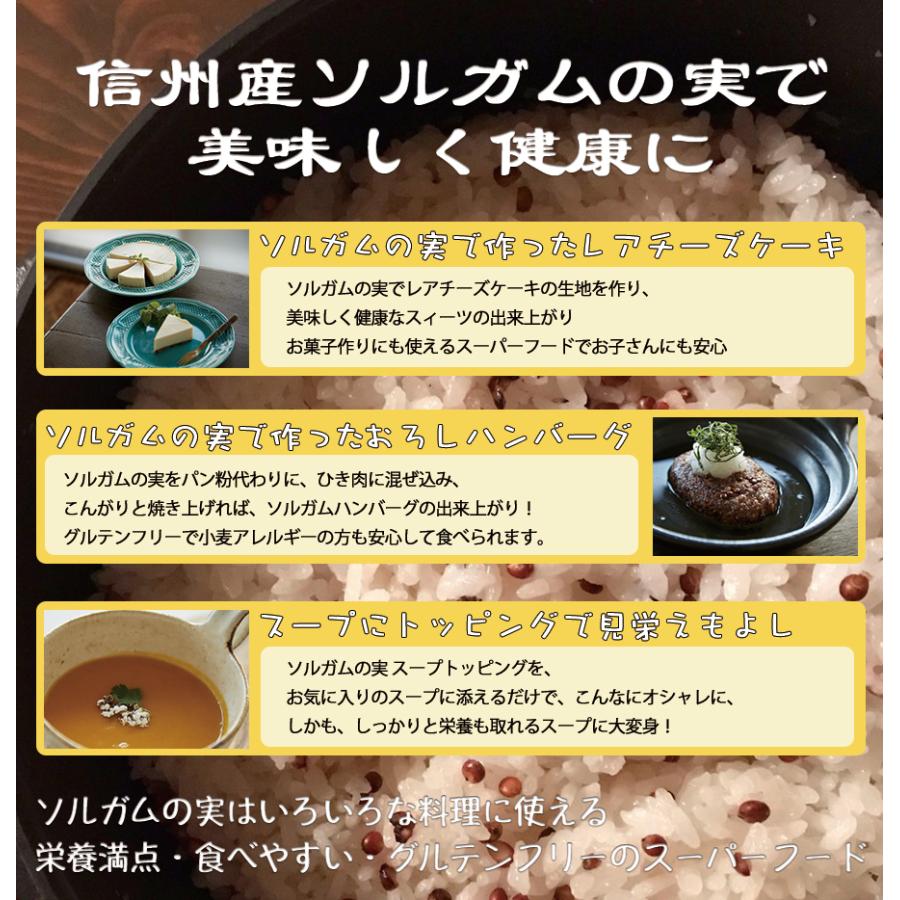 新品 正規品 信州産ソルガムの実 内容量 100g 袋 送料無料 グルテンフリー スーパーフード 国産 雑穀 健康食品 整腸作用 ダイエット 美容 ポリフェノール Gaba 食物繊維 Materialworldblog Com