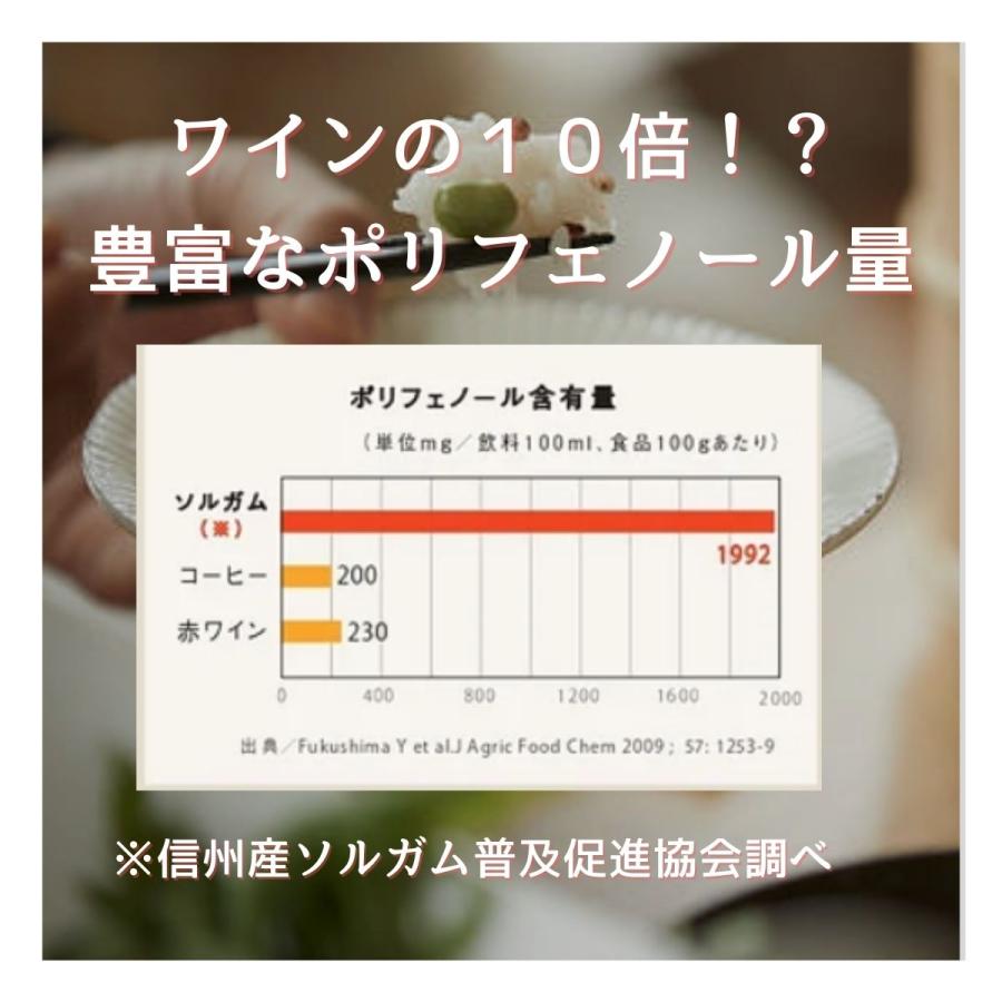 グルテンフリー 信州産ソルガムの実 100g/袋（長野県産　たかきび・雑穀）プラントベースフード、ヴィーガン、ベジタリアン｜akebono｜06