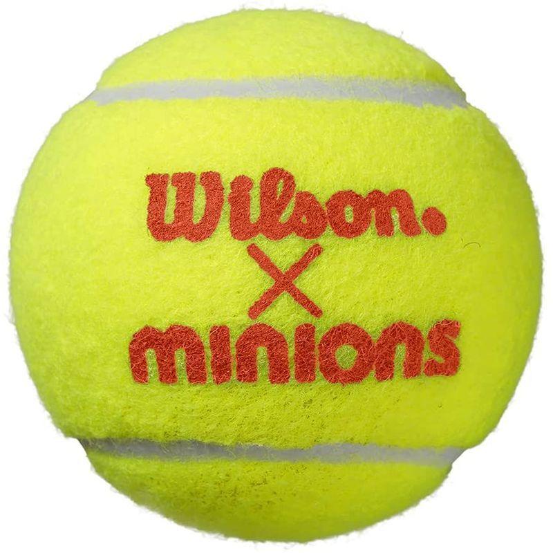 好評受付中 Wilson ウイルソン 硬式テニスボール MINIONS STAGE 2 TBALL ミニオン ステージ ティーボール 直径6. cisama.sc.gov.br 好評受付中 Wilson ウイルソン 硬式テニスボール MINIONS STAGE 2 TBALL ミニオン ステージ ティーボール 直径6. cisama.sc.gov.br