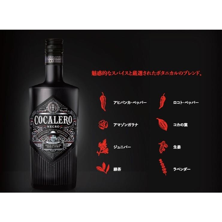 コカレロ ネグロ COCALERO NEGRO (ショットグラス2個付き) 29度 700ml