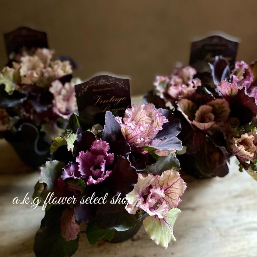 葉牡丹ヴィンテージブーケヴィンテージペインハボタンビンテージブーケ