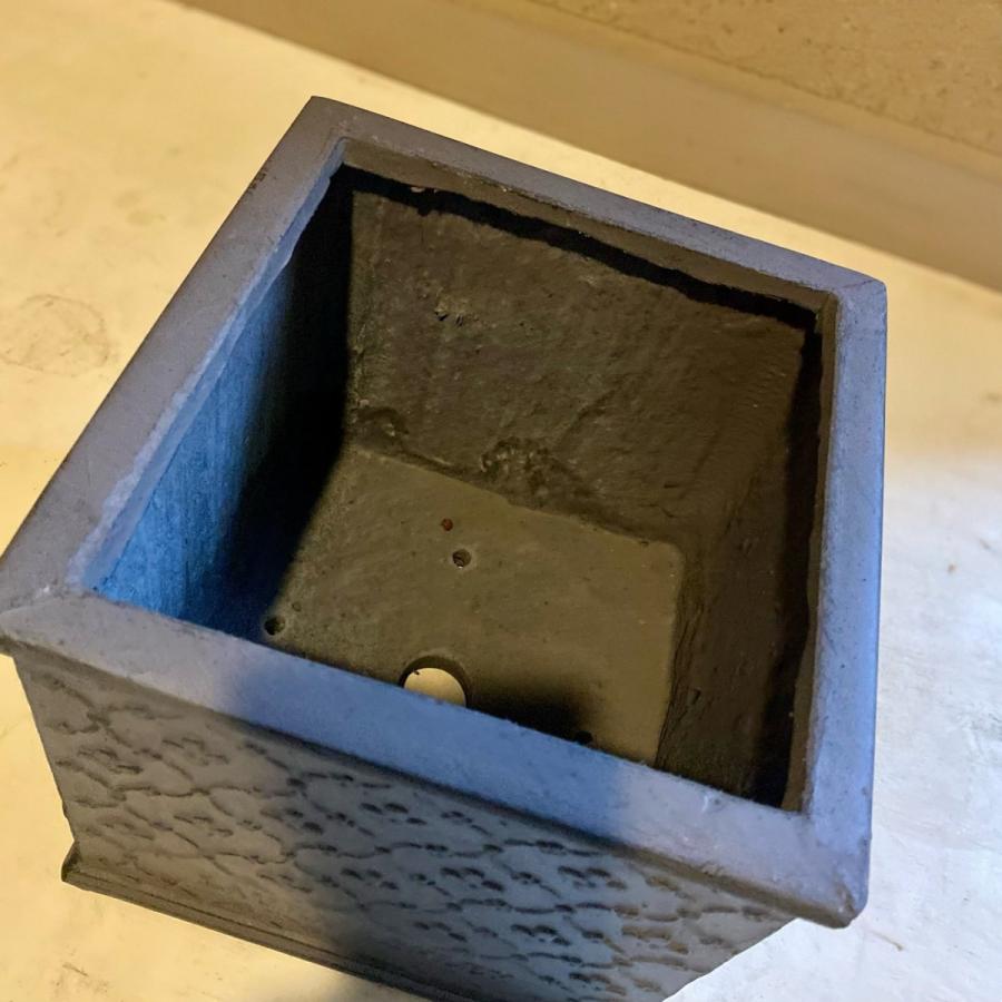 Laura Asyleyローラアシュレイキューブライト ガーデニング22cm 鉢