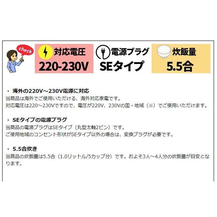 象印（ZOJIRUSHI） 海外向け炊飯器 220V-230V 仕様 NP-HLH10-XA IH 5