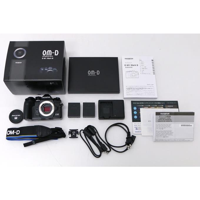 美品｜オリンパス OM-D E-M1 Mark III ボディ シャッター回数 約1700回 