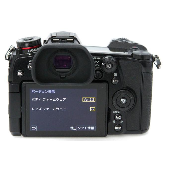 LUMIX Gシリーズ 【全額返金保証】並品｜パナソニック DC-G9 ボディ