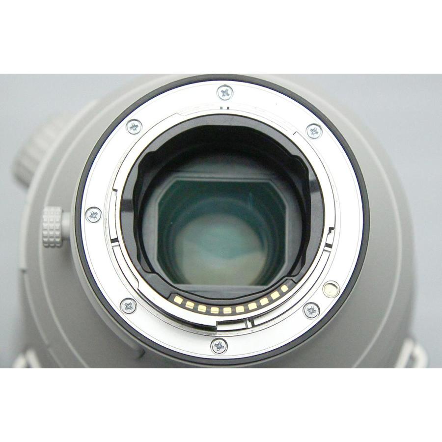 G Master 【全額返金保証】極美品|ソニー FE 400mm F2.8 GM OSS G Master 【全額返金保証】極美品|ソニー FE 400mm F2.8 GM OSS
