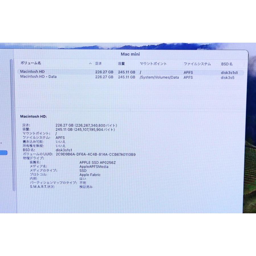 美品｜アップル Mac mini 2023 MMFJ3J/A シルバー M2(8C CPU・10C GPU) メモリ8GB SSD256GB πN970-2G9｜akiba-ryutsu｜09