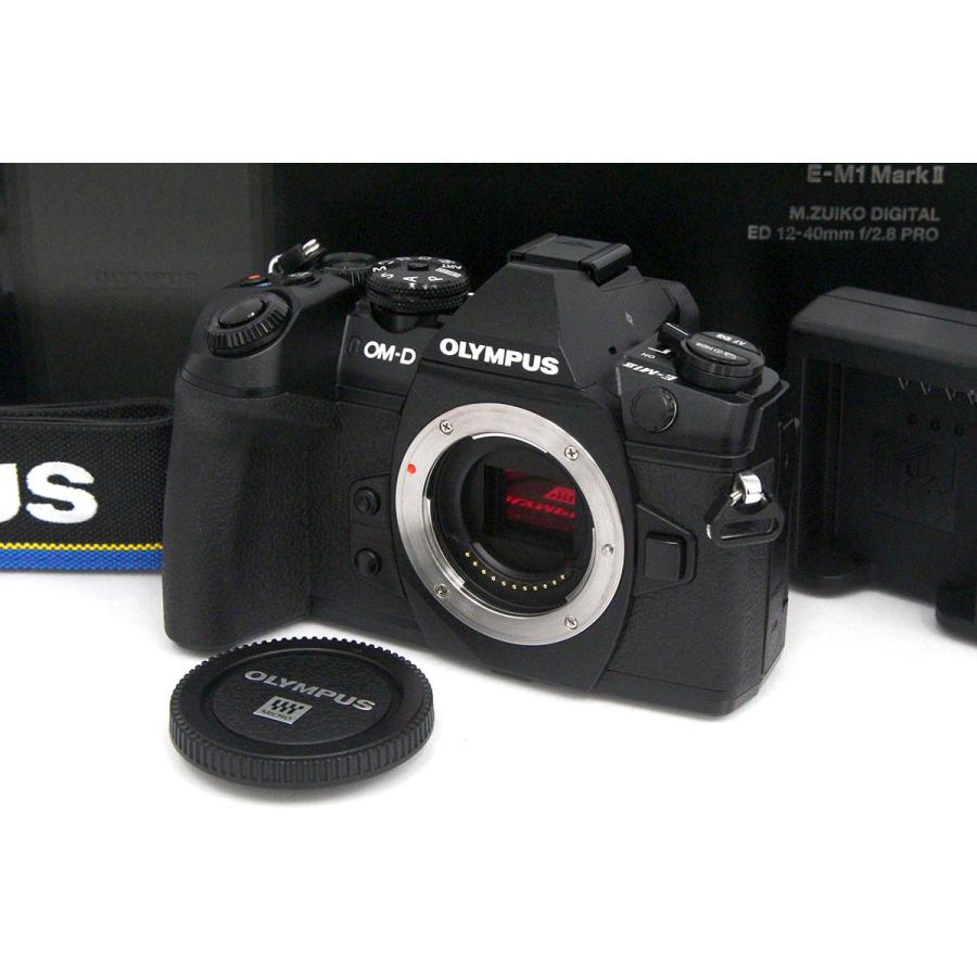 美品｜オリンパス OM-D E-M1 Mark II ボディ ブラック γA7103-2Q3 