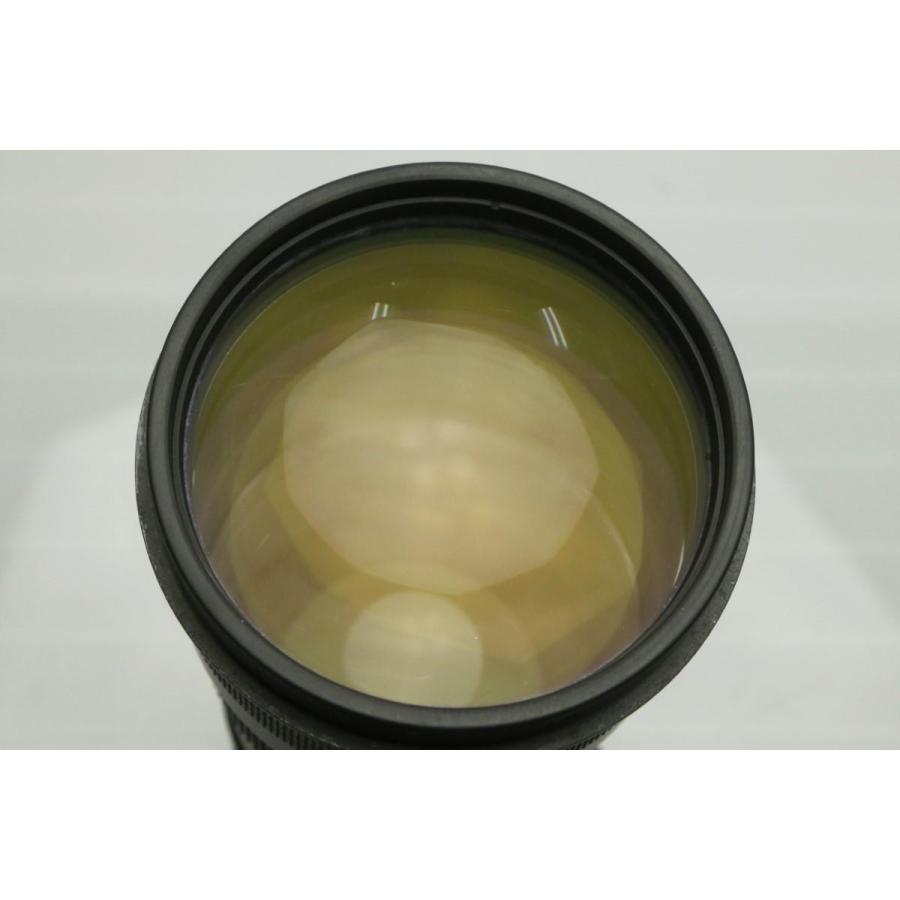 NIKKOR 難有品|ニコン AF-S VR Nikkor 300mm f/2.8G IF-ED CA01 NIKKOR 難有品|ニコン AF-S VR Nikkor 300mm f/2.8G IF-ED CA01