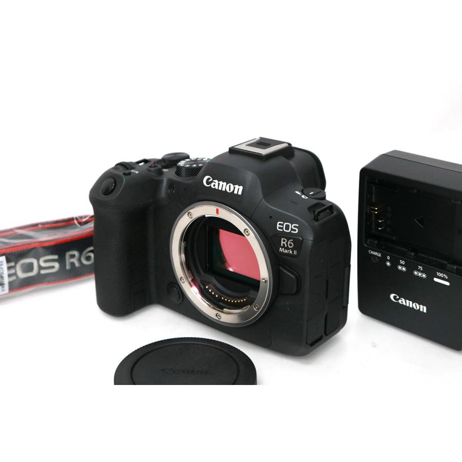 極美品｜キヤノン EOS R6 Mark II ボディ CA01-M2596-2S1 : 219647-5 