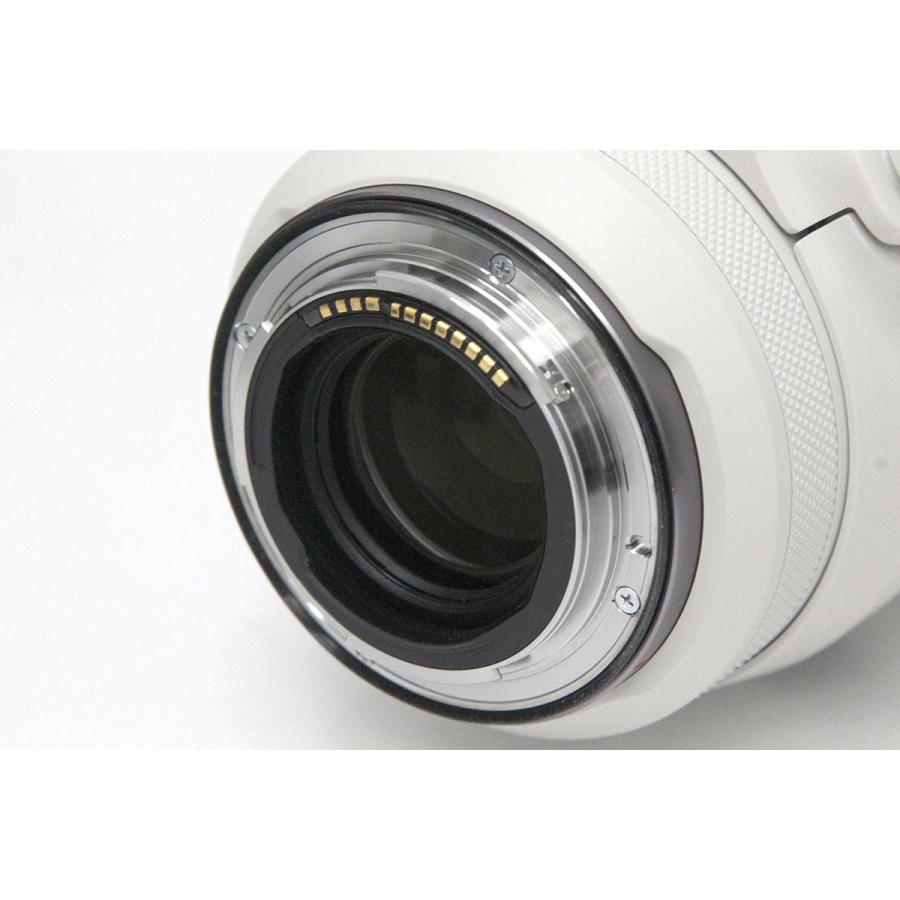 RFレンズ 【全額返金保証】極美品|キヤノン RF100-500mm F4.5 RFレンズ 【全額返金保証】極美品|キヤノン RF100-500mm F4.5