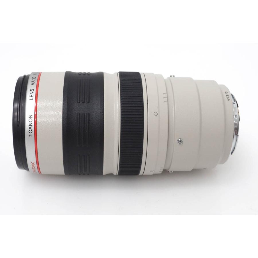 EFレンズ 訳有品|キヤノン EF35-350mm F3.5-5.6L USM CA01-R831 EFレンズ 訳有品|キヤノン EF35-350mm F3.5-5.6L USM CA01-R831