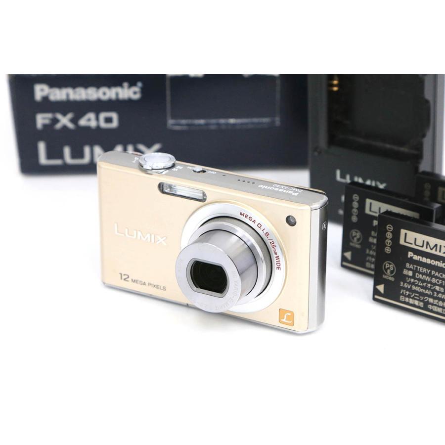 美品》Panasonic LUMIX DMC-FX07 デジカメ バッテリー 【公式通販】