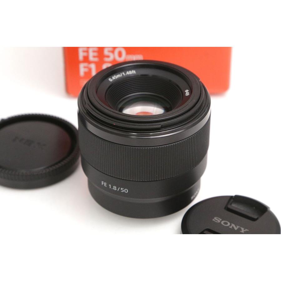 と*ん様 FE 50mm F1.8 SEL50F18F【延長保証つき】 と*ん様 FE 50mm F1.8 SEL50F18F【延長保証つき】 保証付き】sony