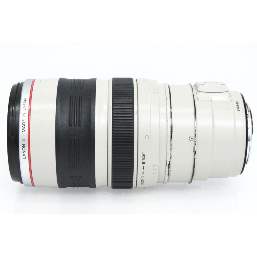 【全額返金保証】並品｜キヤノン EF28-300mm F3.5-5.6L IS USM CA01-R4041-3V2Bの画像