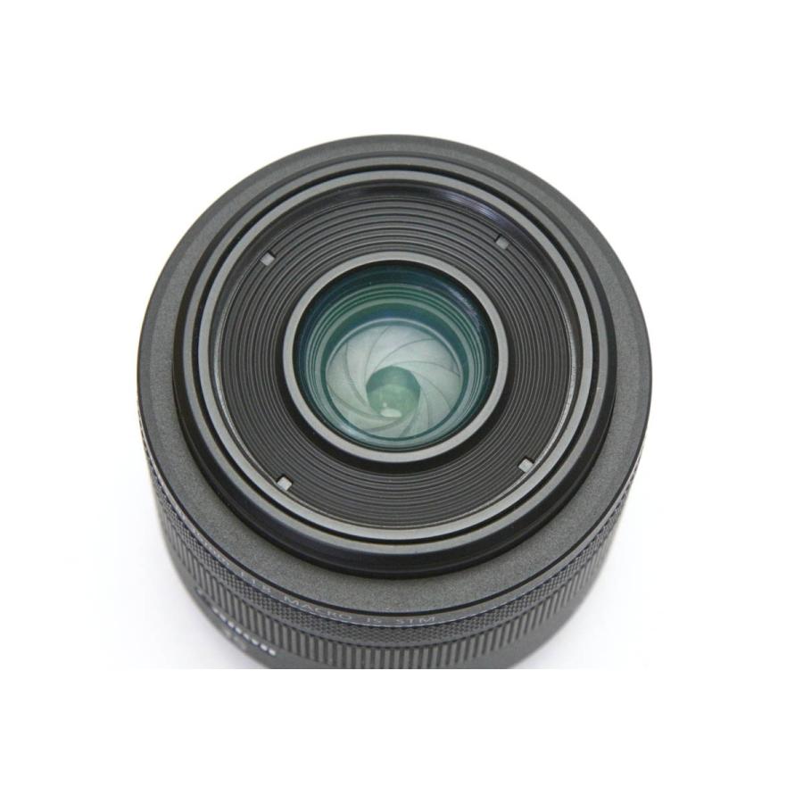 RF35mm F1.8 マクロ IS STM【極美品】 CANON RF35mm F1.8 マクロ IS