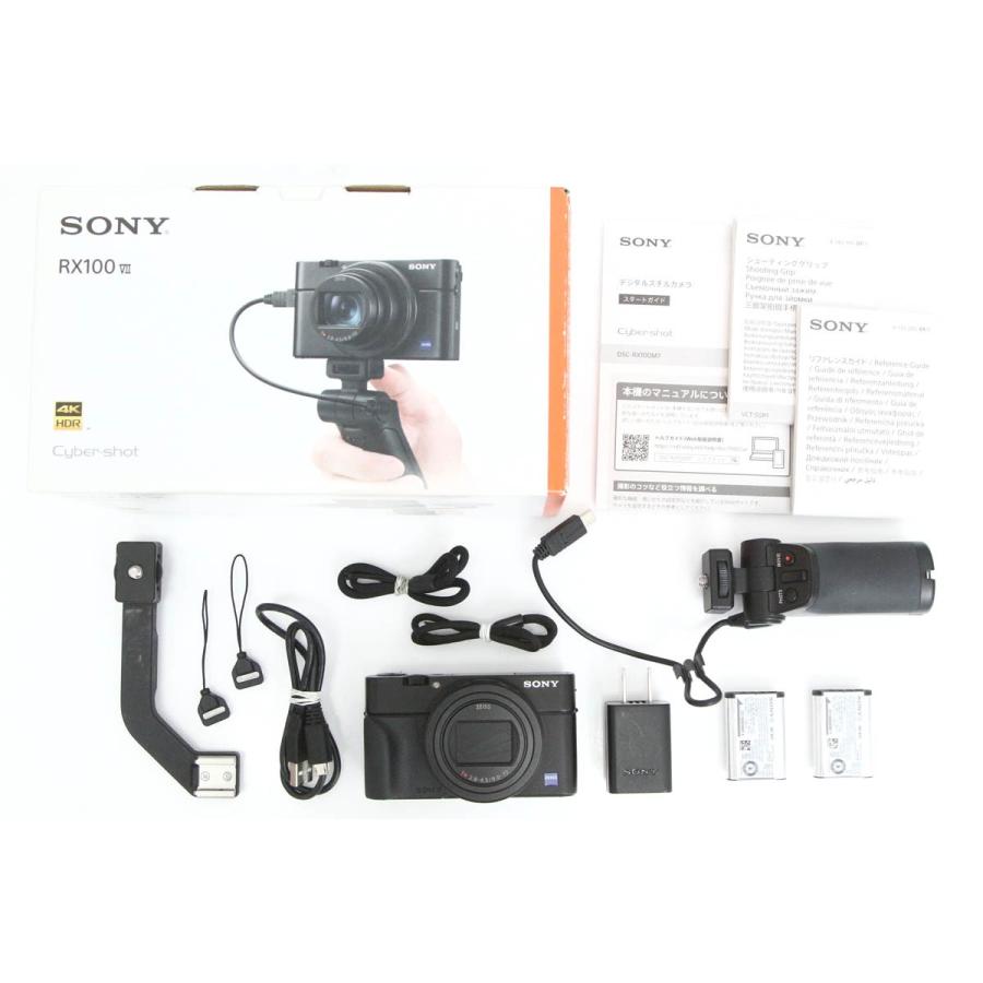 サイバーショット RXシリーズ 【全額返金保証】美品｜ソニー DSC
