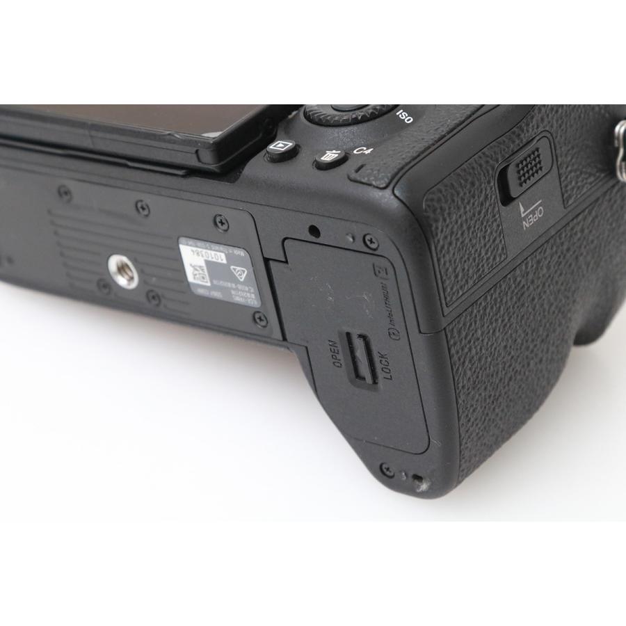 α7 【全額返金保証】良品｜ソニー α7R V ILCE-7RM5 ボディ （センサー