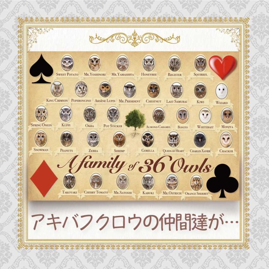 クリアファイル フクロウ グッズ 透明 おしゃれ イラスト ハッピーアニバーサリー Cf 002 アキバフクロウオンラインショップ 通販 Yahoo ショッピング