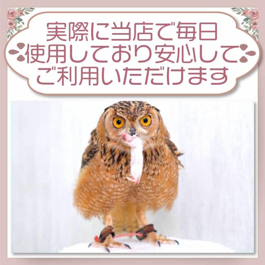 冷凍 マウス 餌 エサ 200匹 アダルトマウス L フクロウ 猛禽類