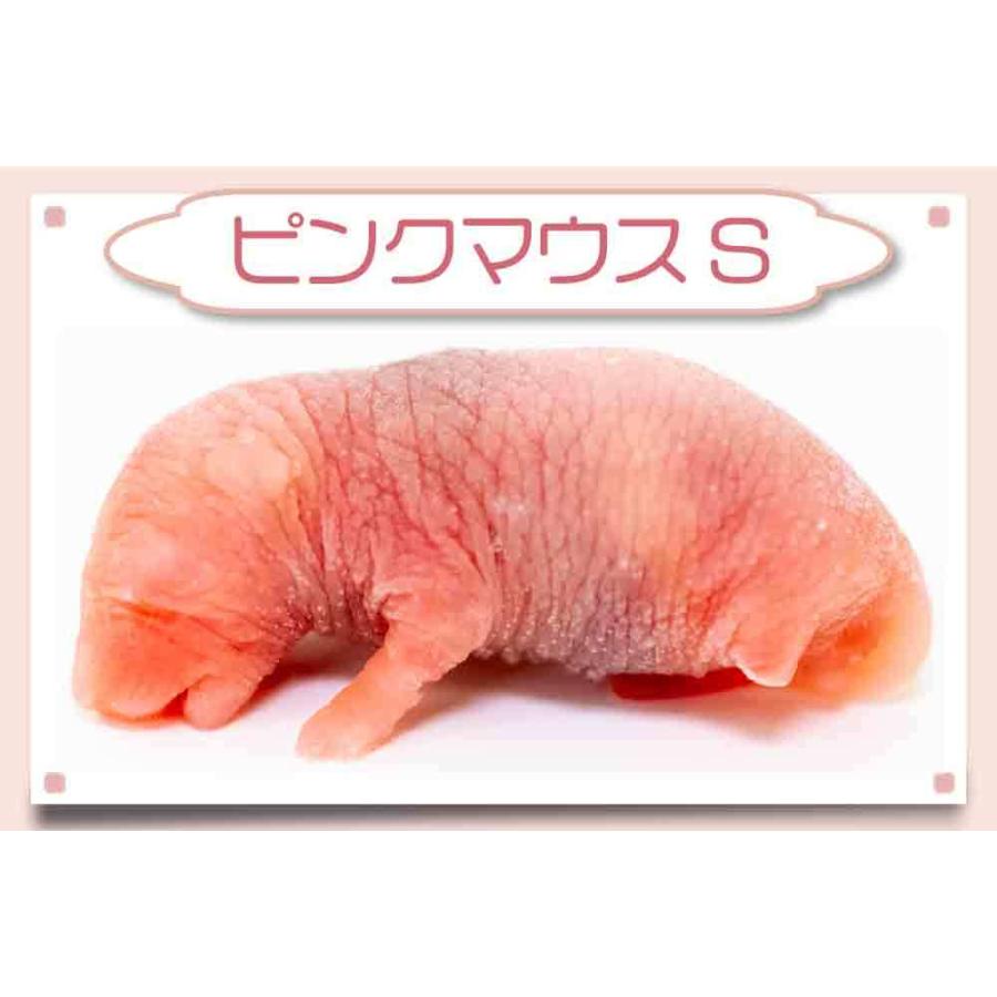 冷凍 ピンクマウスS 10匹 餌 猛禽類 爬虫類用 冷凍｜akibafukurou