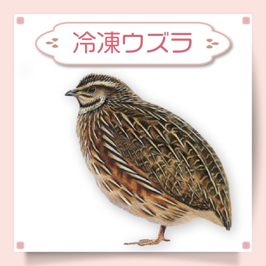 冷凍 ウズラ うずら エサ 餌 52羽 未処理 猛禽 フクロウ タカ 鷹 冷凍 ウズラ うずら エサ 餌 52羽 未処理 猛禽 フクロウ タカ 鷹