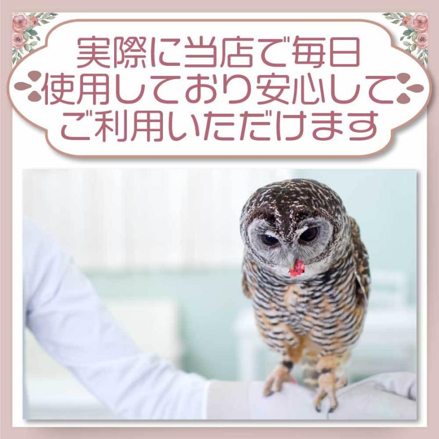 冷凍 ウズラ うずら エサ 餌 78羽 未処理 猛禽 フクロウ タカ 鷹 隼 鷲