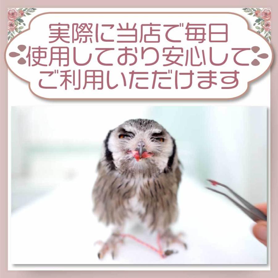 冷凍 ひよこ ヒヨコ 餌 エサ 30羽 猛禽類 爬虫類 フクロウ トカゲ ヘビ