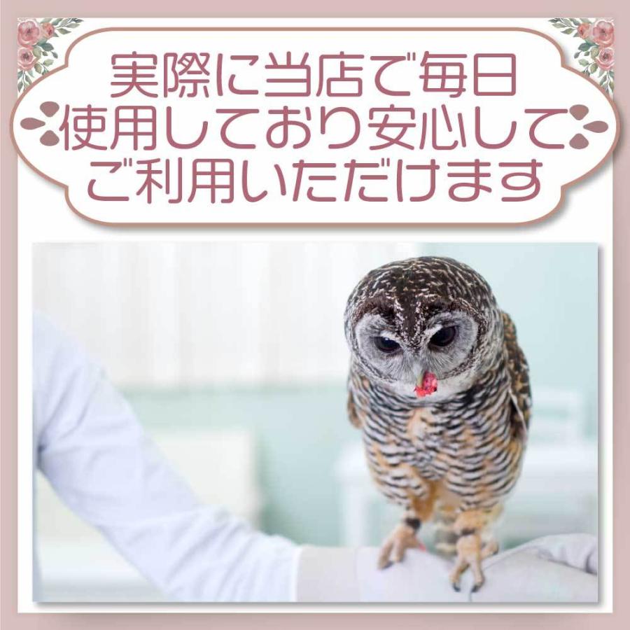 冷凍 ひよこ ヒヨコ 餌 エサ 30羽 猛禽類 爬虫類 フクロウ