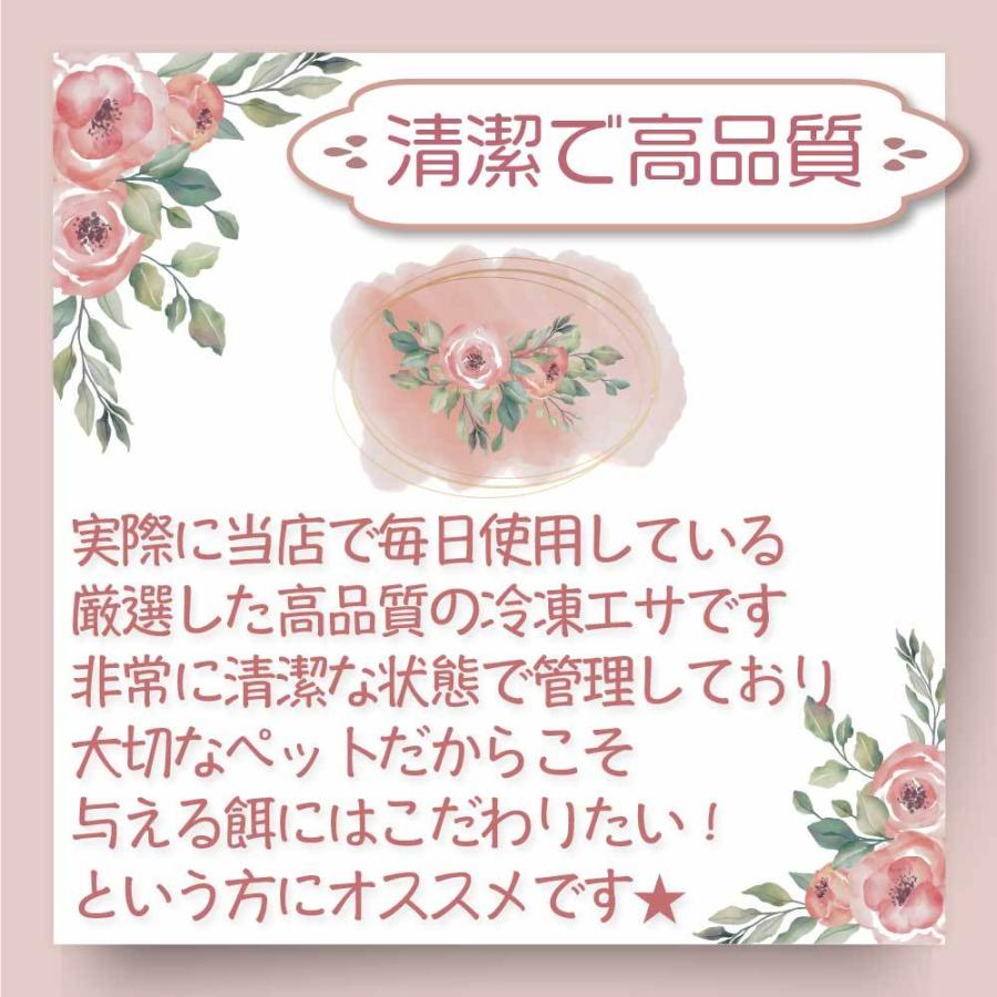 冷凍 ひよこ ヒヨコ 餌 エサ 30羽 猛禽類 爬虫類 フクロウ トカゲ ヘビ