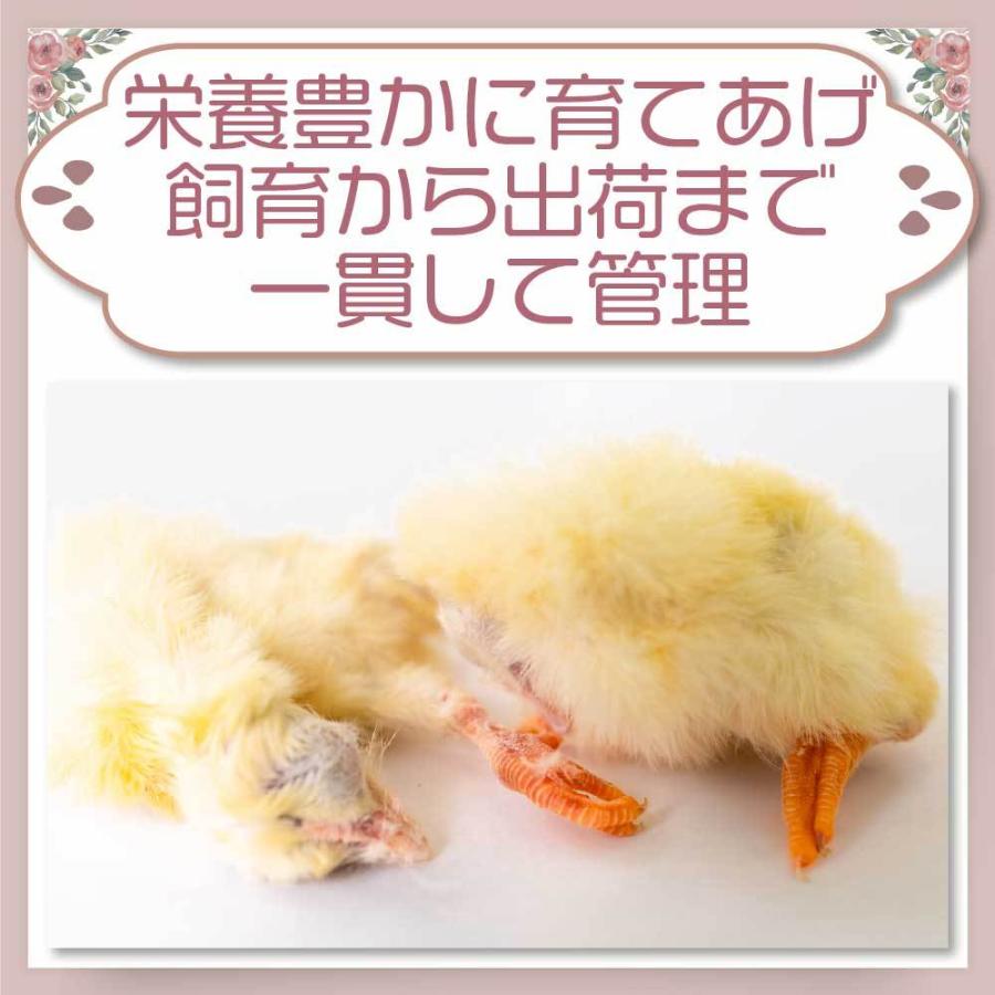 冷凍 ひよこ ヒヨコ 餌 エサ 90羽 猛禽類 爬虫類 フクロウ 冷凍 ひよこ ヒヨコ 餌 エサ 90羽 猛禽類 爬虫類 フクロウ